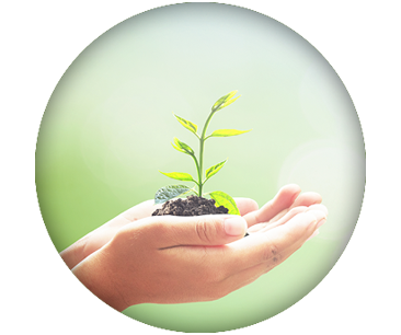 Sustainability & Responsibility